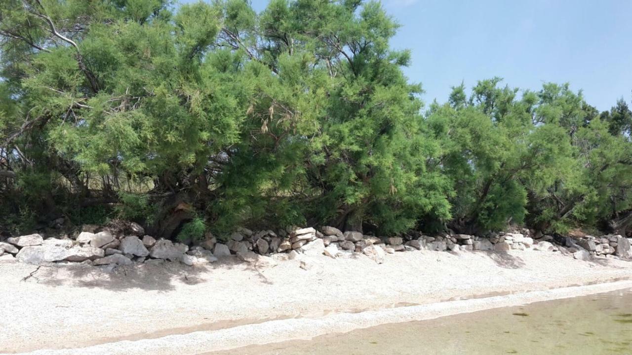 Apartmani Neva, Pridraga Luaran gambar